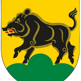 Wappen Eberschwang